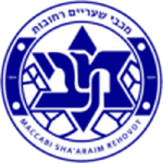 Migdal Haemek